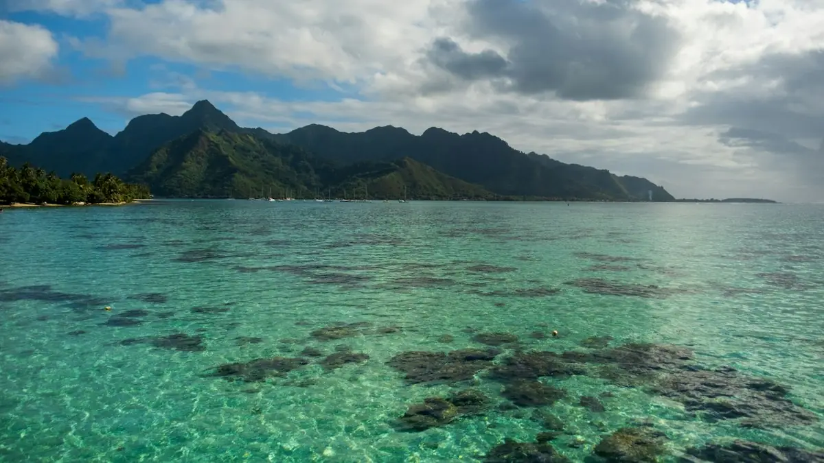 Moʻorea lagoon reef in clear water