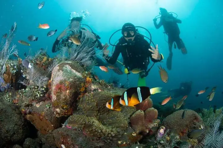 Divers on a reef with a clownfish