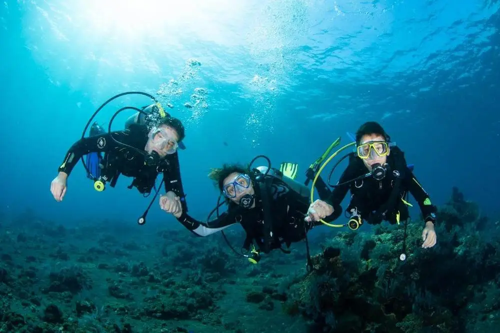 Three scuba divers on a sunlit reef