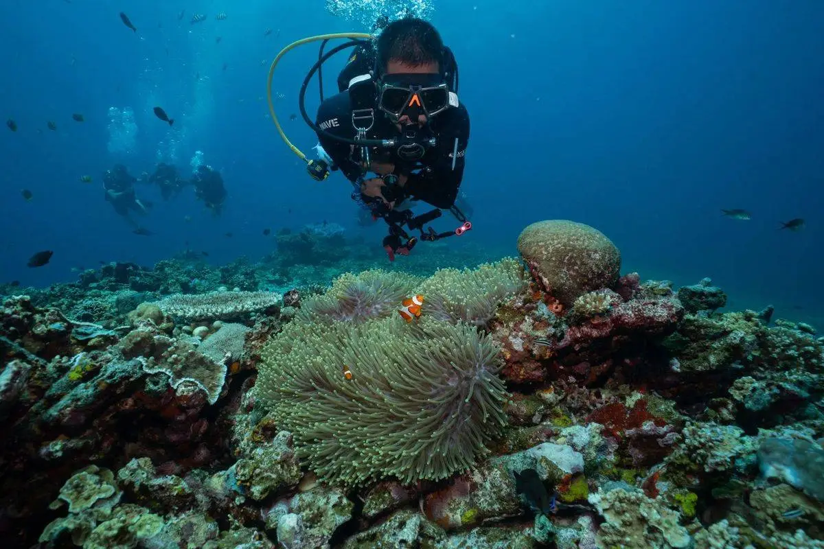 A diver gliding over the reef off Gili Air