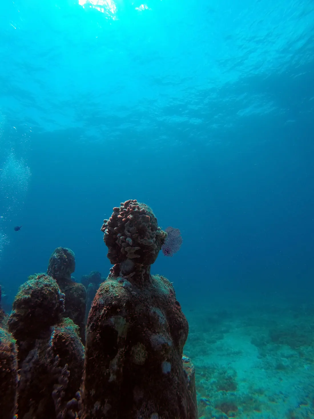 Coral growing over a sculpture at MUSA, the Cancún underwater museum