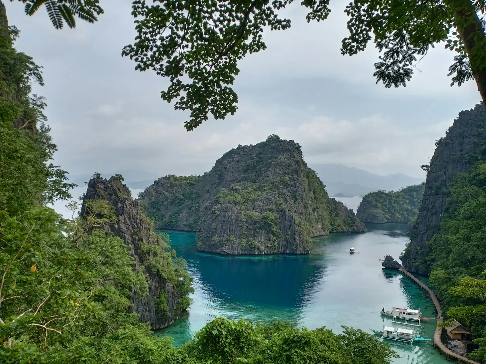 Clear green water and limestone at Kayangan Lake, Coron