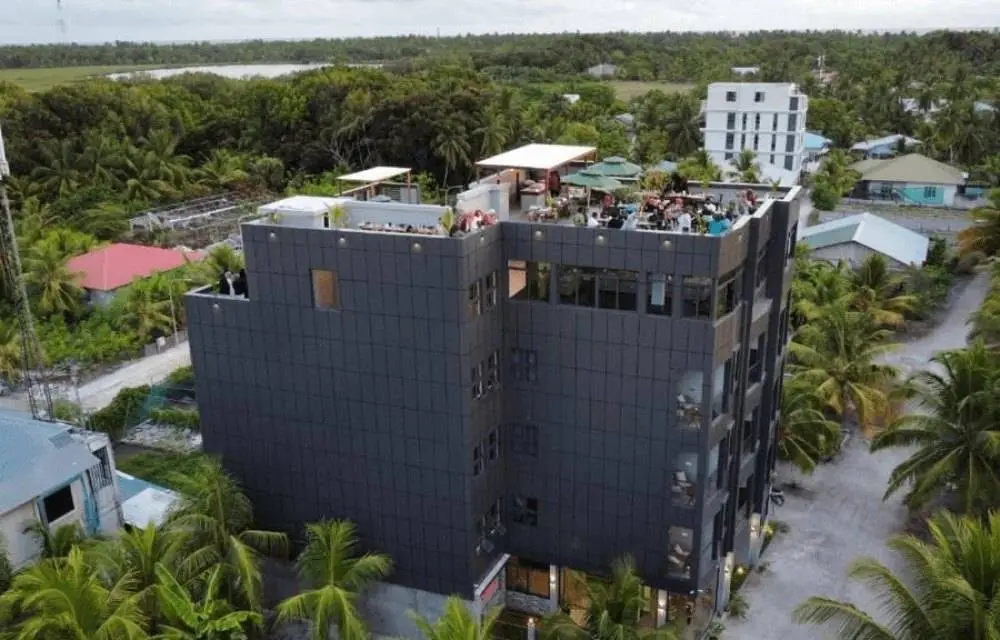 The hotel from above, among the palms of Fuvahmulah