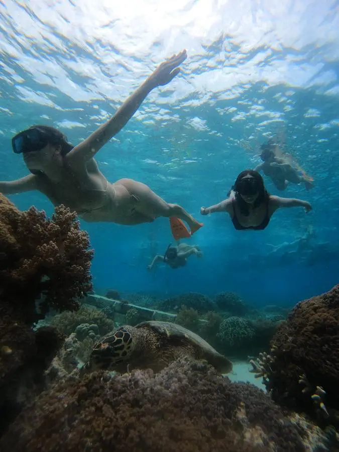 Two snorkellers swimming beside a sea turtle over a coral reef