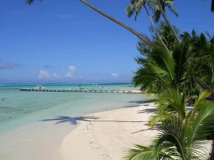 Palm trees, white sand and a jetty on the lagoon