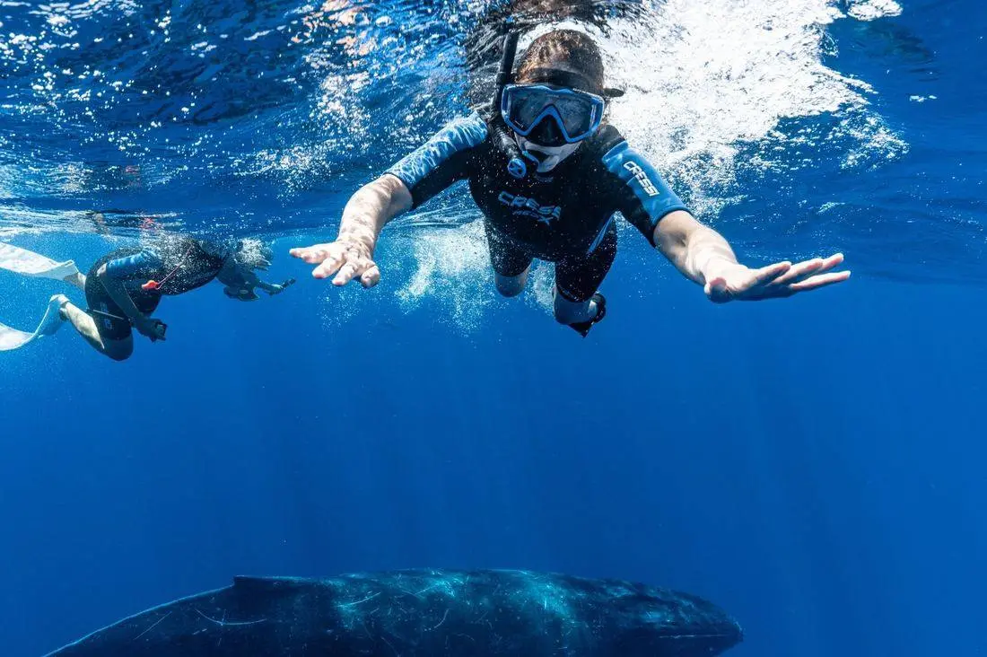 A freediver swimming toward the surface with a humpback whale below