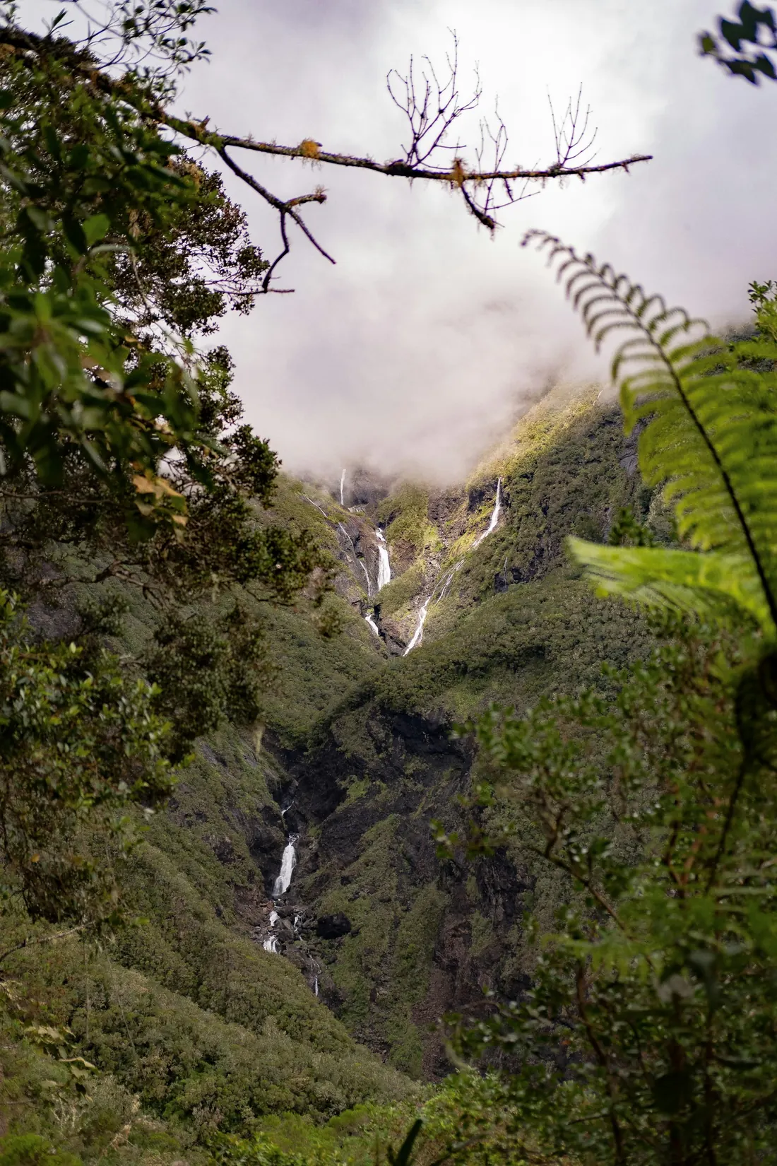 A waterfall in the forest of the cirque of Salazie, Réunion