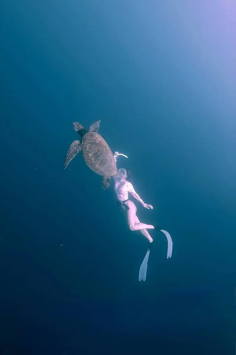Rocío freediving alongside a sea turtle, keeping a respectful distance