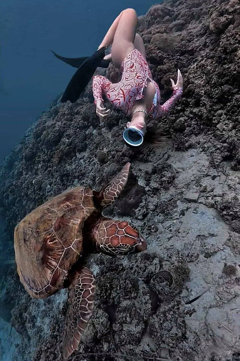 Rocío freediving beside a resting sea turtle