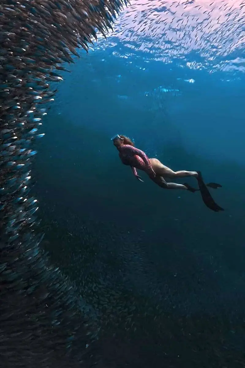 Rocío freediving beside a wall of jack fish