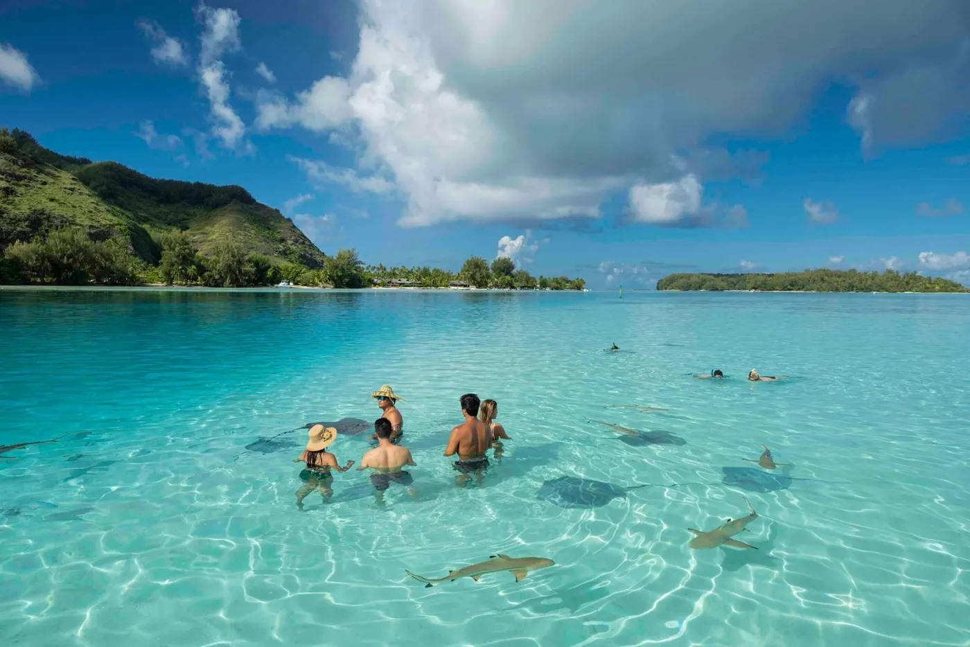 Snorkellers in the turquoise lagoon with the mountains behind