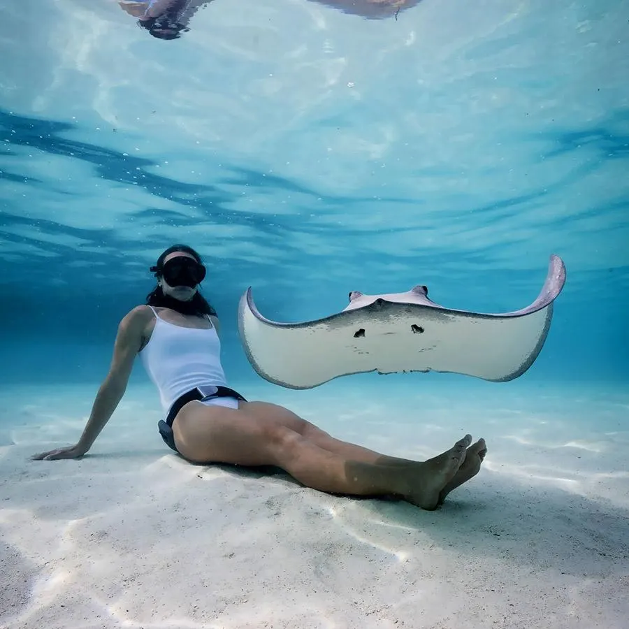 A snorkeller sitting on the sand next to a stingray in shallow water