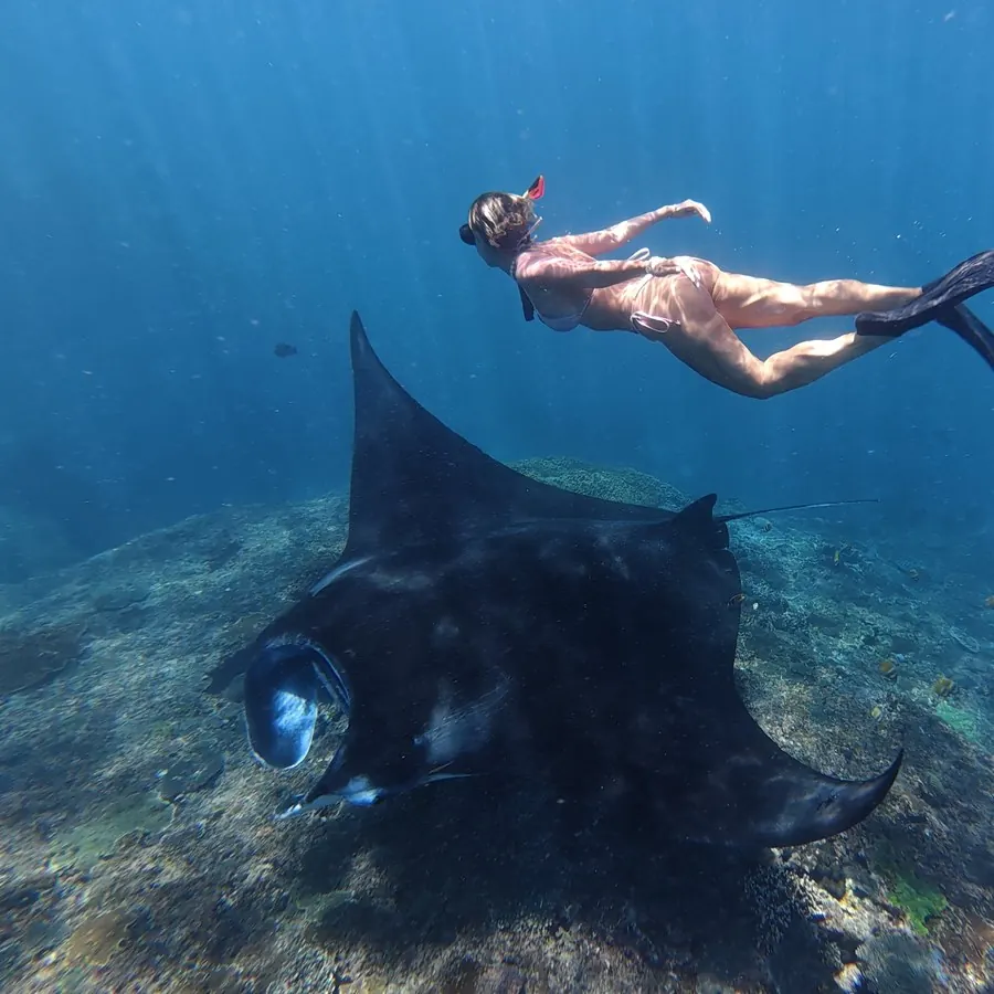 Rocío freediving above a manta ray in Nusa Penida, giving it space